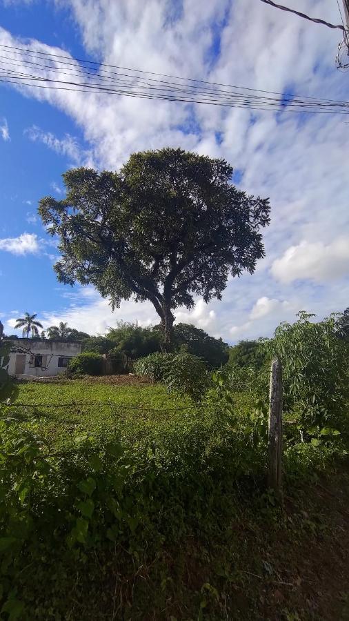 Hostel Meu Cantinho Caxambu Mg ภายนอก รูปภาพ